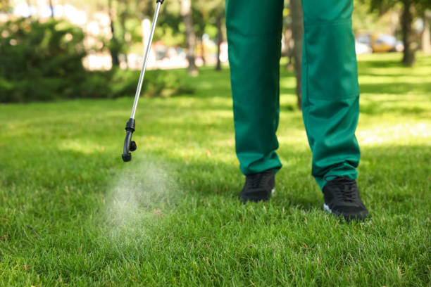 Best Residential Pest Control  in Xtonia, PA