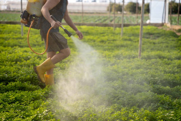 Professional Pest Control in Paxtonia, PA