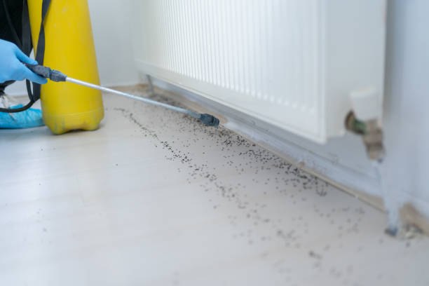 Best Mosquito Control Services  in Xtonia, PA