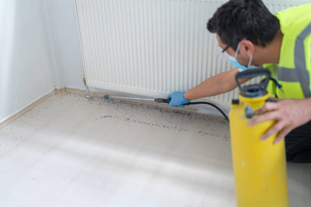 Best Affordable Pest Control Services  in Xtonia, PA